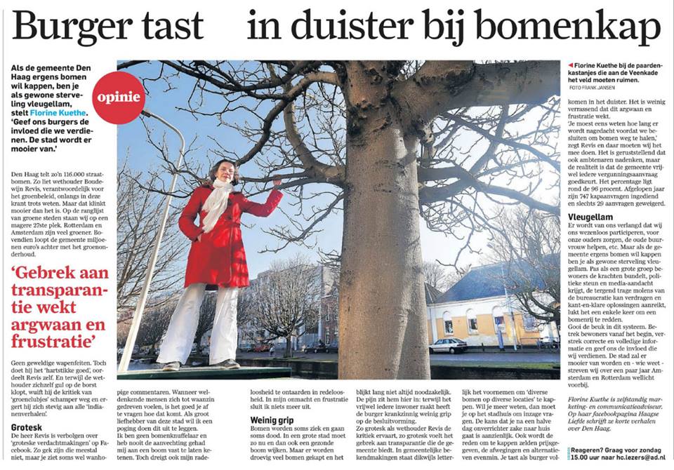 Bomen kap Gemeente Den Haag