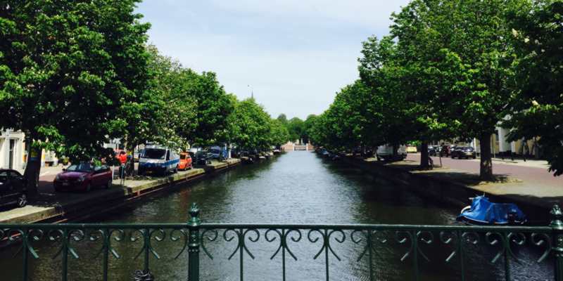 Veenkade Den Haag bomen kwestie