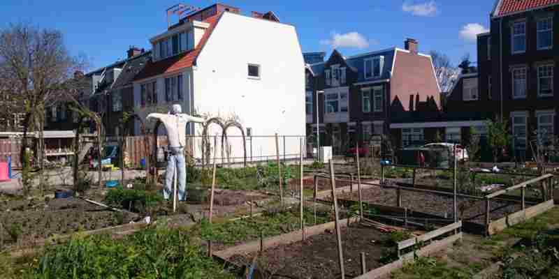 Haags Stadsdebat "Groen Participatie"