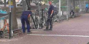 vervangen hekken veenkade