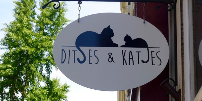 Ditjes en Katjes